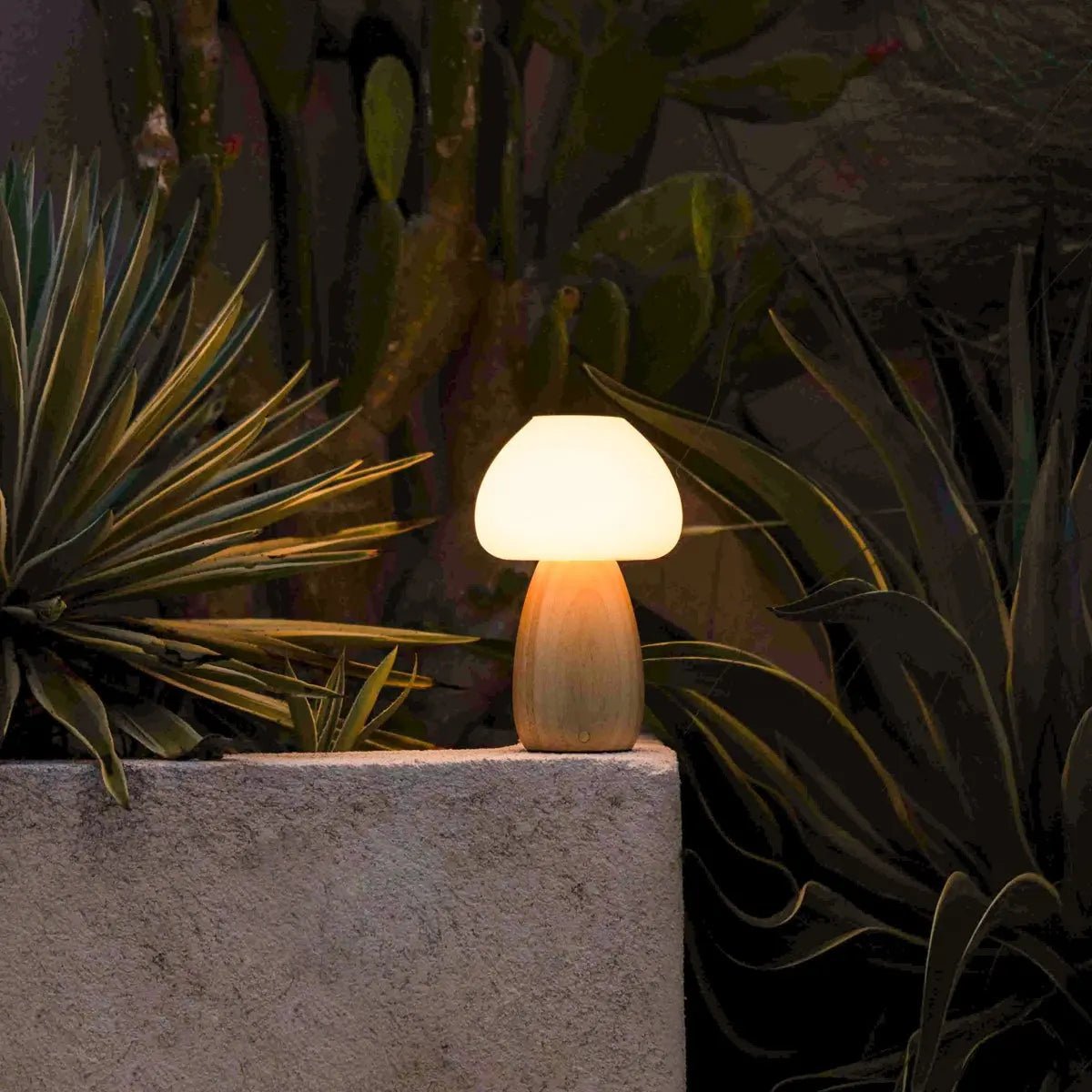 Rechargeable Bear Table Lamp - Brown Cordless Dimmable Night Light