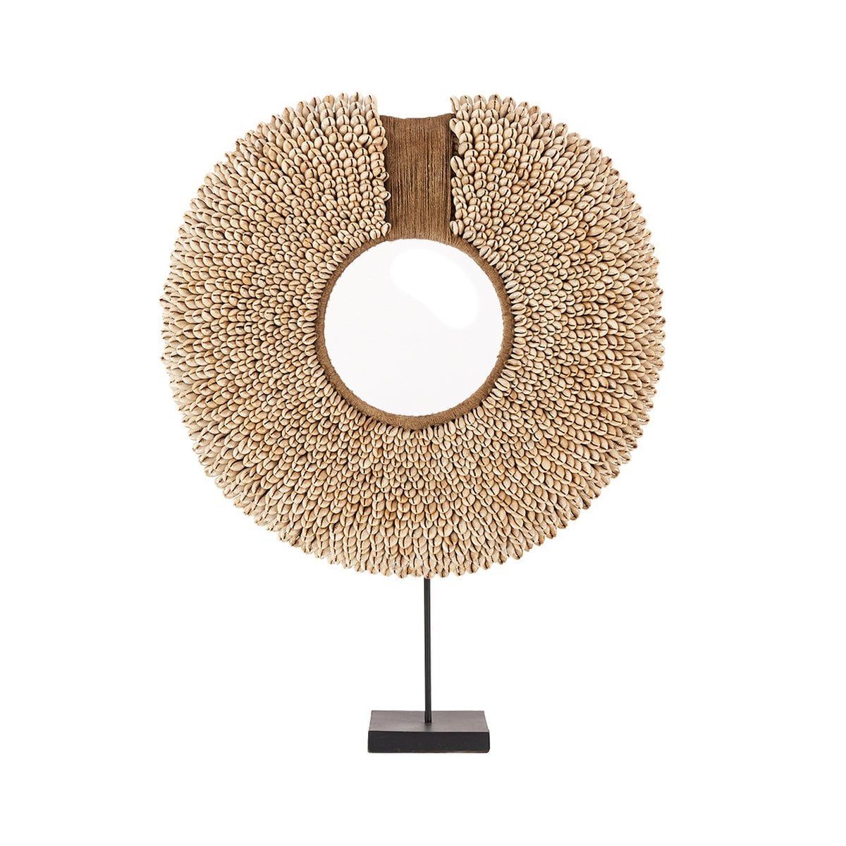 Seashell Display on Stand - Natural Coastal Decor, Shell Réunion