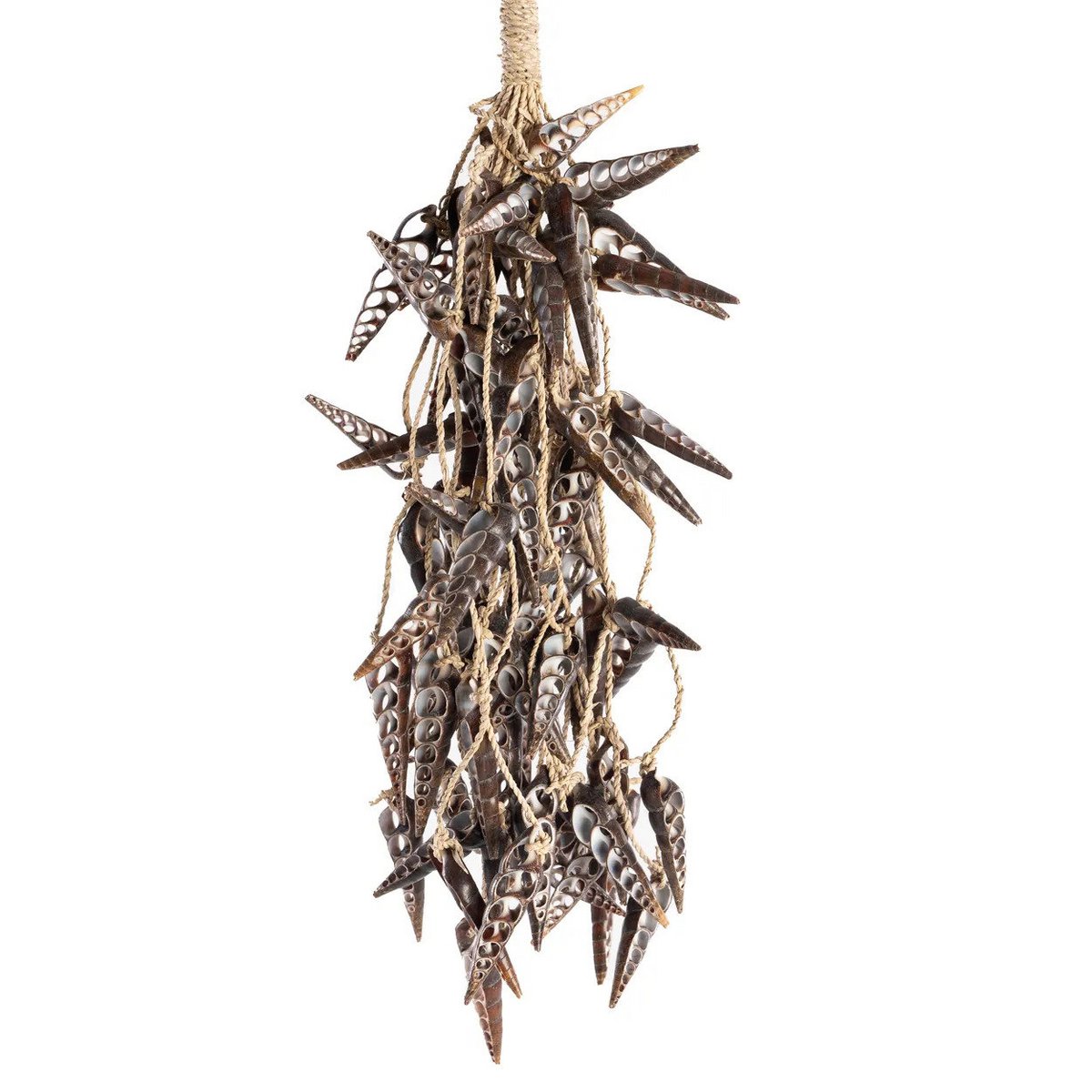 Seashell Tassel Wall Hanging - Brown Unicorn Shell Decor