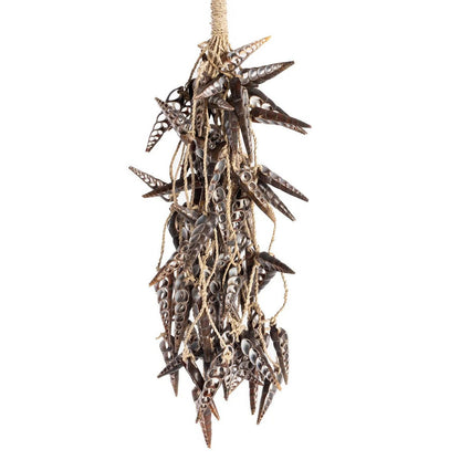 Seashell Tassel Wall Hanging - Brown Unicorn Shell Decor