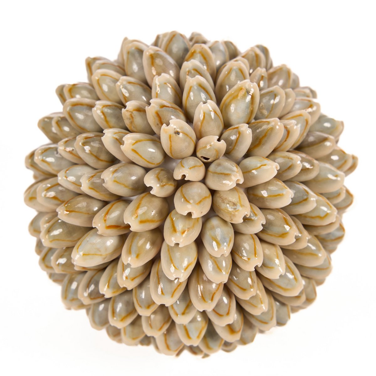Shell Ball Decor - Coastal Home Accent - Medium