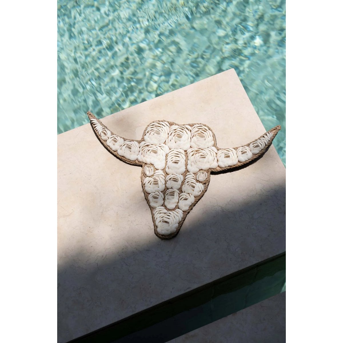 El Toro de Concha - Blanco
