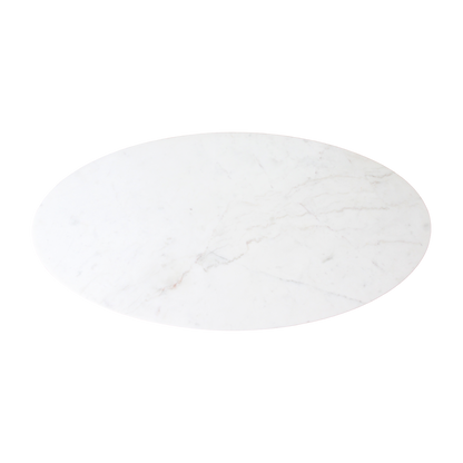 Oval marble coffee table - White - 120x60x38 cm