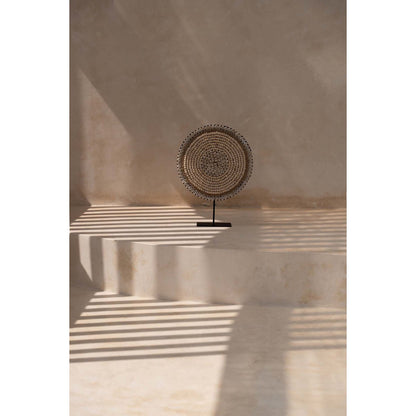 Coastal Shell Decorative Sculpture on Stand – Natural White Ornament
