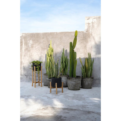 Terracotta Plant Pot - Black Teak Planter for Dry Flowers, Small