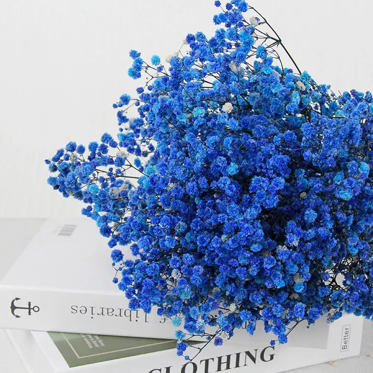 Dried Baby's Breath Bouquet - Natural Gypsophila for Décor