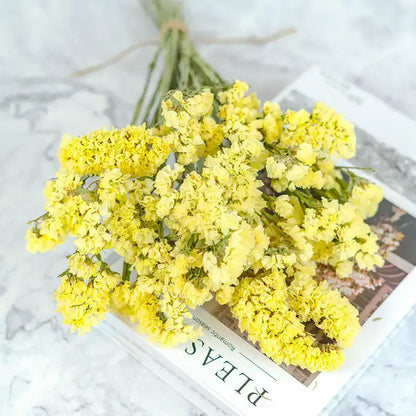 Preserved Forget-Me-Not Flowers – Romantic Gift for Couples