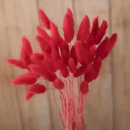 Dried Rabbit Tail Grass Bouquet - Natural Wedding Decor