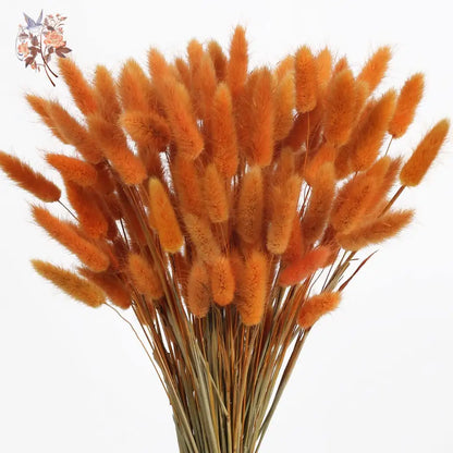 Dried Rabbit Tail Grass Bouquet - Natural Wedding Decor