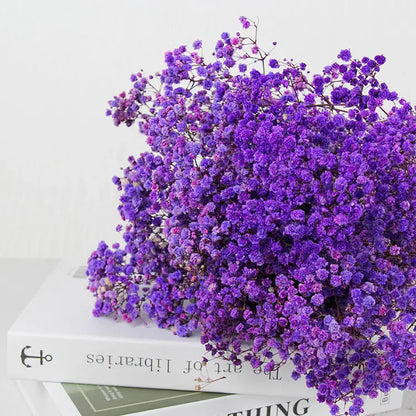 Dried Baby's Breath Bouquet - Natural Gypsophila for Décor