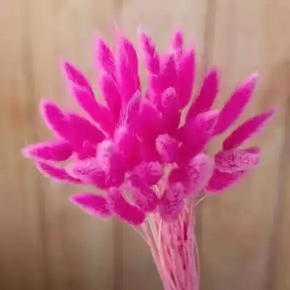 Dried Rabbit Tail Grass Bouquet - Natural Wedding Decor