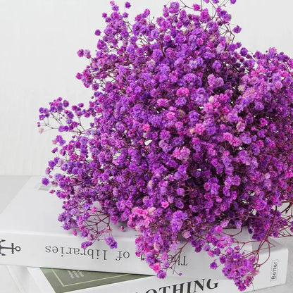 Dried Baby's Breath Bouquet - Natural Gypsophila for Décor
