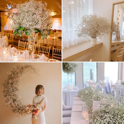 Dried Baby's Breath Bouquet - Natural Gypsophila for Décor