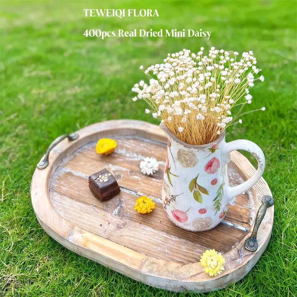 Dried Star Daisy Bouquet - Natural Floral Decor | sitezone test 02