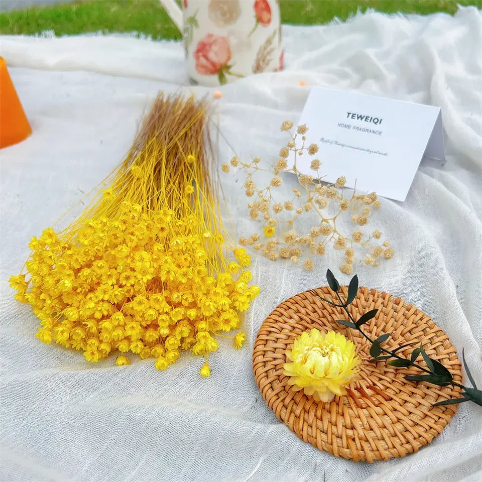 Dried Star Daisy Bouquet - Natural Floral Decor | sitezone test 02