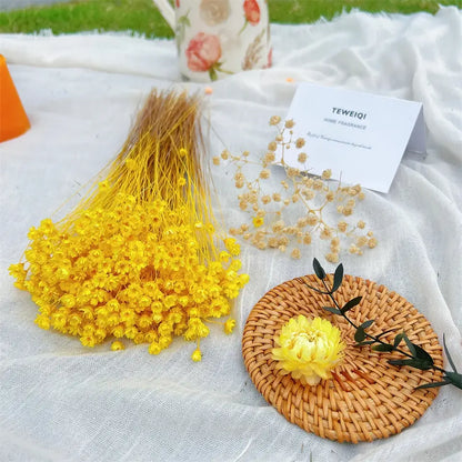 Dried Star Daisy Bouquet - Natural Floral Decor | sitezone test 02