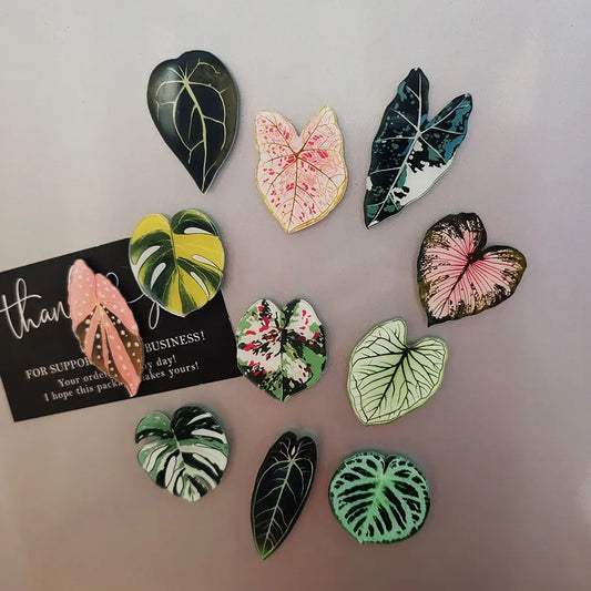 6pcs Begonia Monstera Aimants à Frigo Magnétiques, Aimants à Frigo Kawaii de Plantes Tropicales, Aimants pour Tableau Blanc