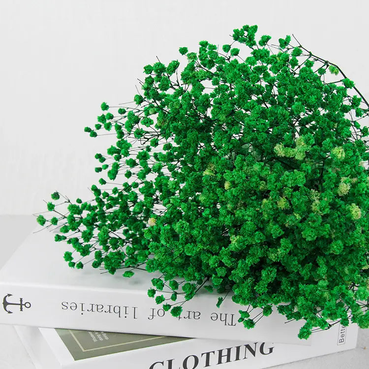 Dried Baby's Breath Bouquet - Natural Gypsophila for Décor