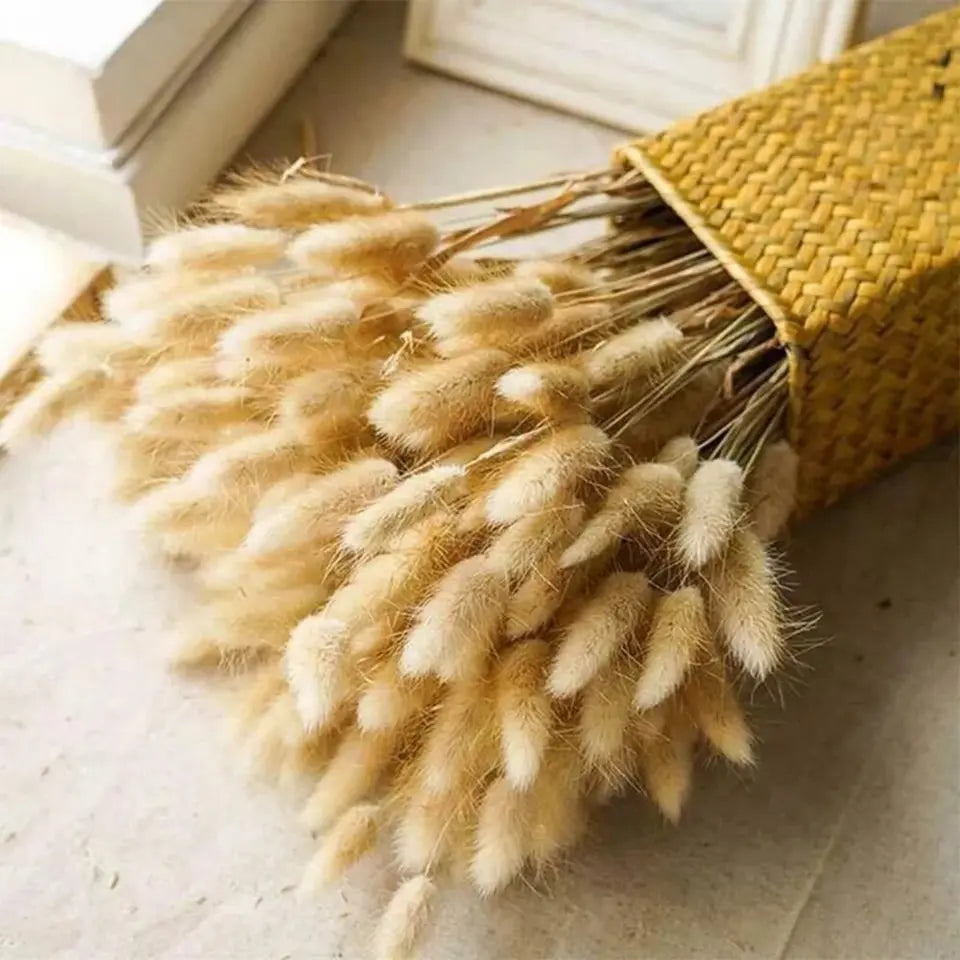 Dried Rabbit Tail Grass Bouquet - Natural Wedding Decor