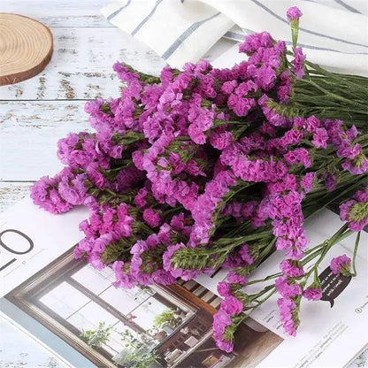 Preserved Forget-Me-Not Flowers – Romantic Gift for Couples