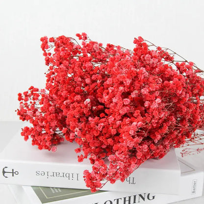 Dried Baby's Breath Bouquet - Natural Gypsophila for Décor