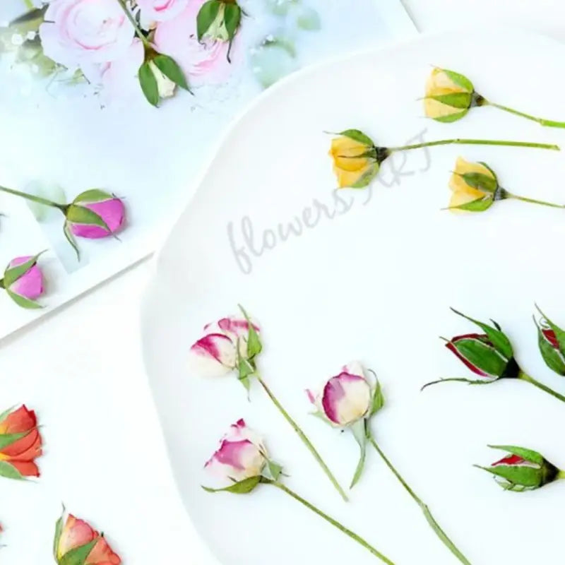 Pressed Rose Buds - DIY Craft Flowers | Sitezone Test 02