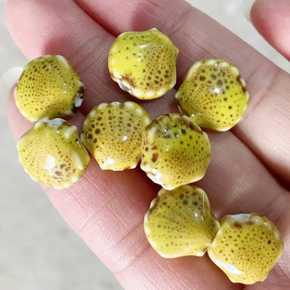 Ceramic Shell Beads - DIY Jewelry Making Charms