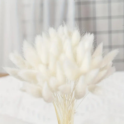 Dried Rabbit Tail Grass Bouquet - Natural Wedding Decor