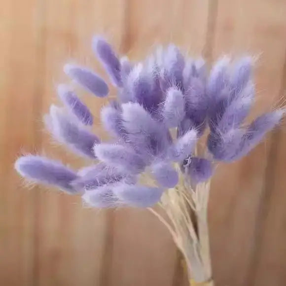 Dried Rabbit Tail Grass Bouquet - Natural Wedding Decor