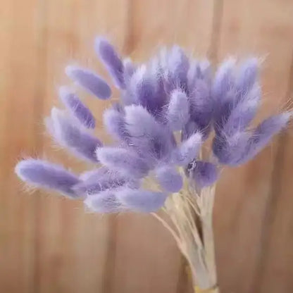 Dried Rabbit Tail Grass Bouquet - Natural Wedding Decor