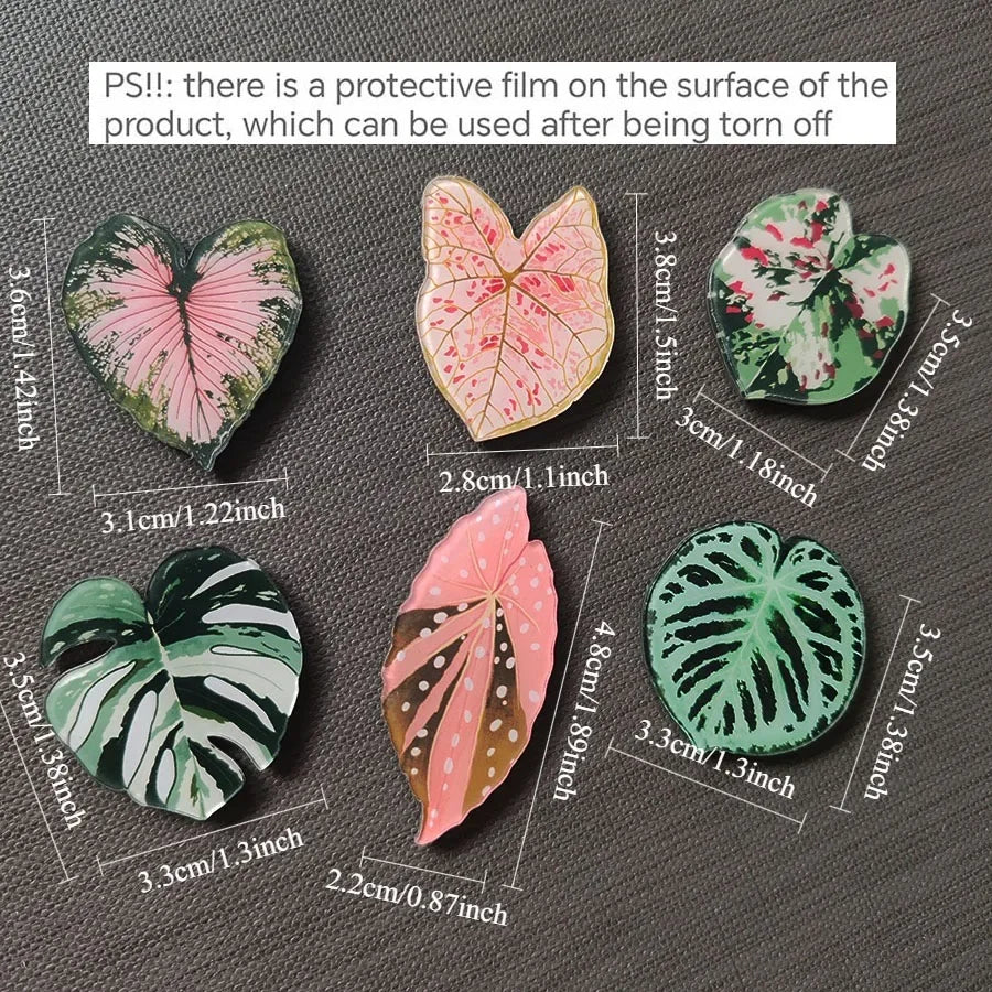 Tropical Fridge Magnets - Begonia Monstera, Kawaii Plants, 6-Piece Set