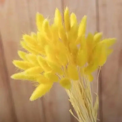Dried Rabbit Tail Grass Bouquet - Natural Wedding Decor