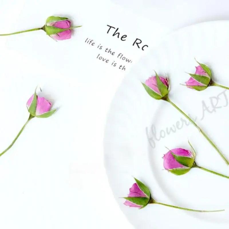 Pressed Rose Buds - DIY Craft Flowers | Sitezone Test 02