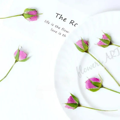 Pressed Rose Buds - DIY Craft Flowers | Sitezone Test 02