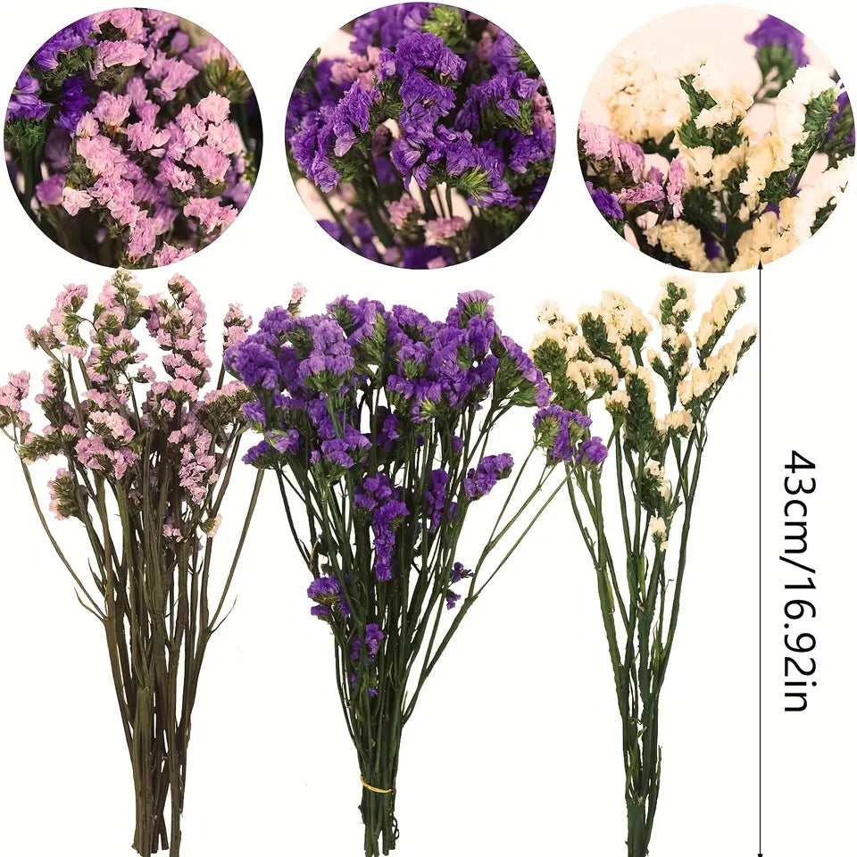 Preserved Forget-Me-Not Flowers – Romantic Gift for Couples