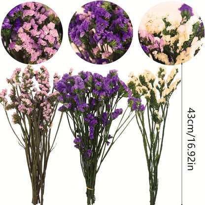 Preserved Forget-Me-Not Flowers – Romantic Gift for Couples