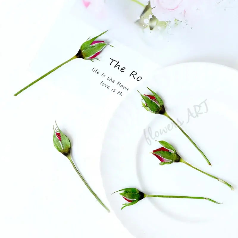 Pressed Rose Buds - DIY Craft Flowers | Sitezone Test 02