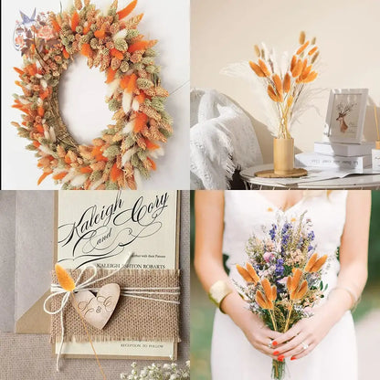 Dried Rabbit Tail Grass Bouquet - Natural Wedding Decor