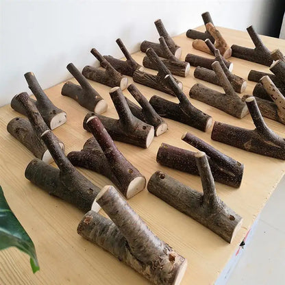 Wooden Branch Coat Hooks - Decorative Wall Organizer | sitezone test 02
