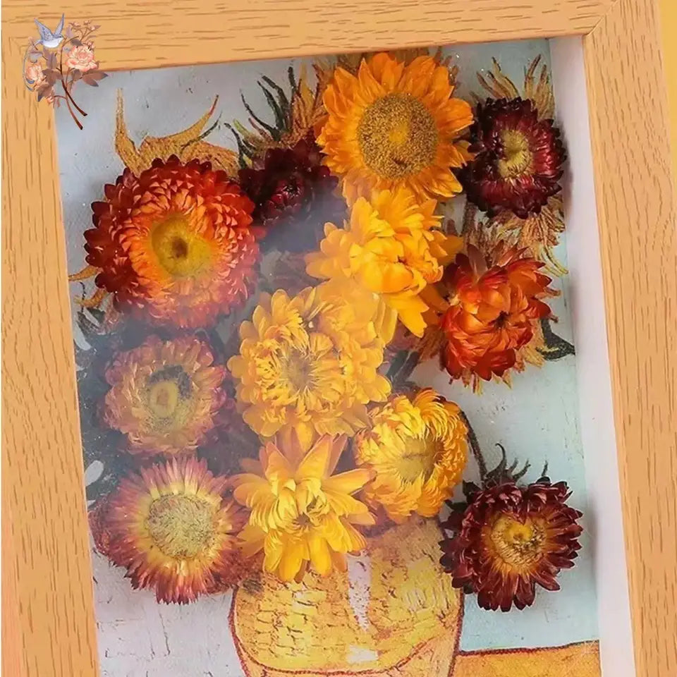 Dried Daisy Flowers - Natural Decor for Crafts & Events | sitezone test 02