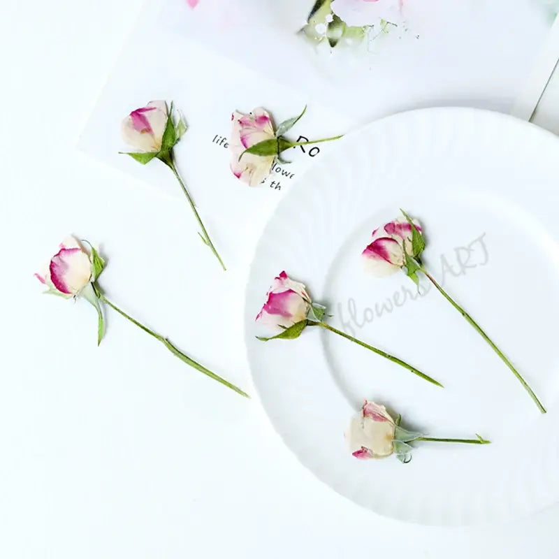 Pressed Rose Buds - DIY Craft Flowers | Sitezone Test 02
