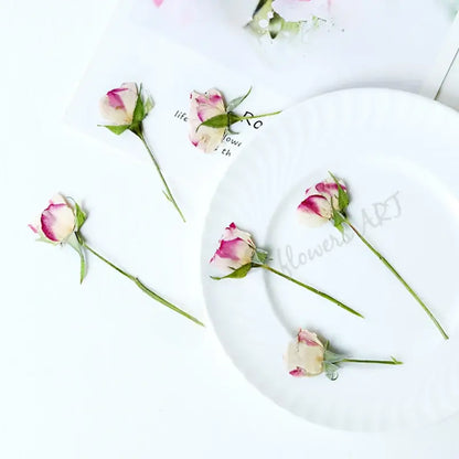 Pressed Rose Buds - DIY Craft Flowers | Sitezone Test 02