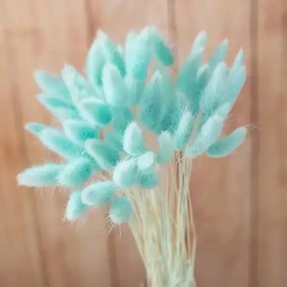 Dried Rabbit Tail Grass Bouquet - Natural Wedding Decor