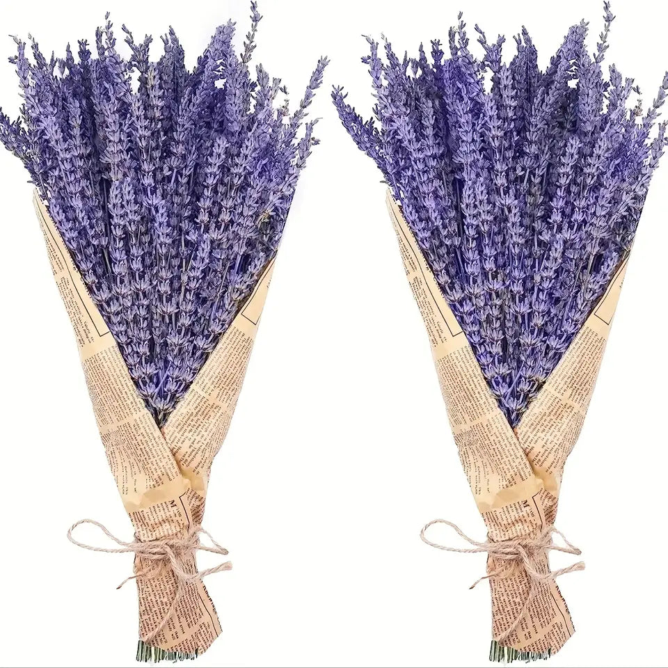 Dried Lavender Bundles - Natural Home Decor & Aromatherapy