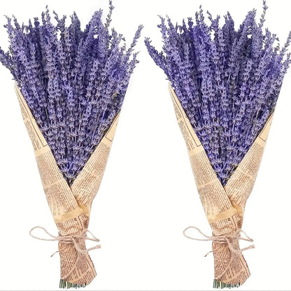 Dried Lavender Bundles - Natural Home Decor & Aromatherapy