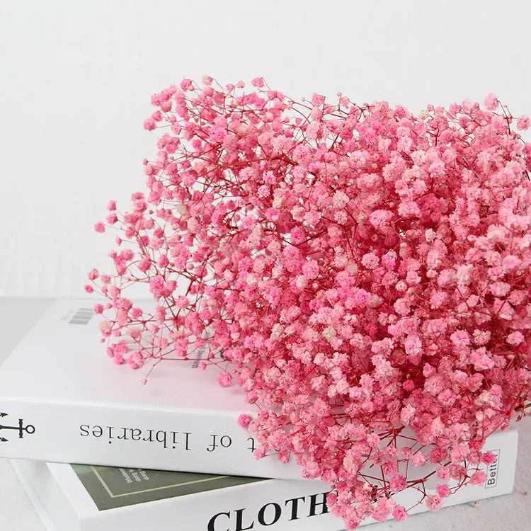 Dried Baby's Breath Bouquet - Natural Gypsophila for Décor