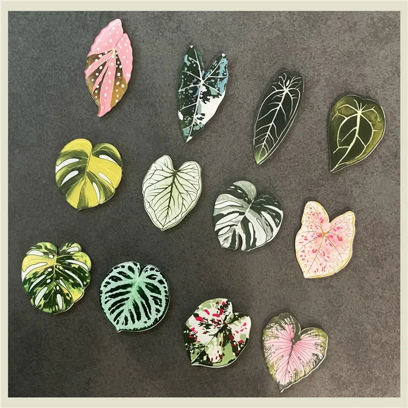 Tropical Fridge Magnets - Begonia Monstera, Kawaii Plants, 6-Piece Set