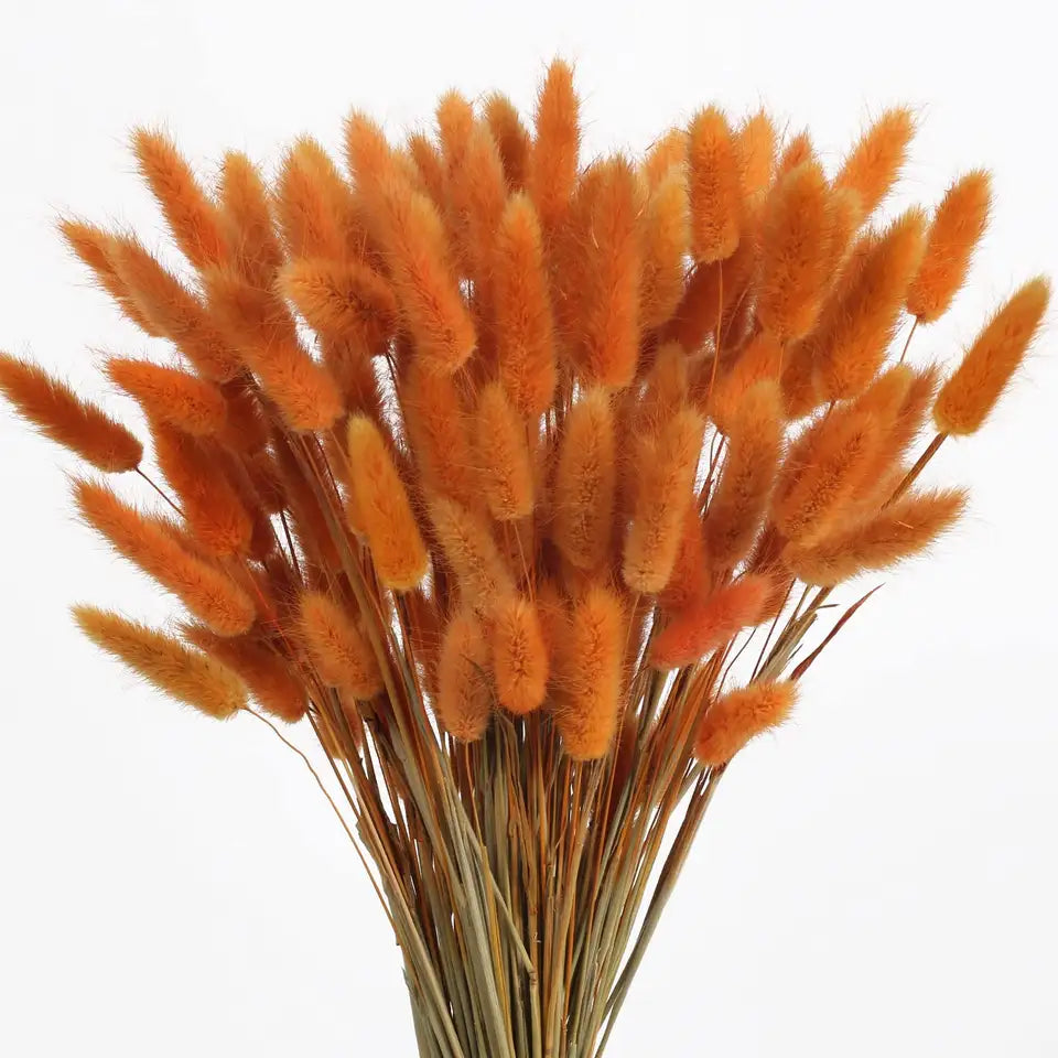Dried Rabbit Tail Grass Bouquet - Natural Wedding Decor