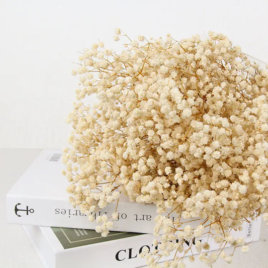 Dried Baby's Breath Bouquet - Natural Gypsophila for Décor