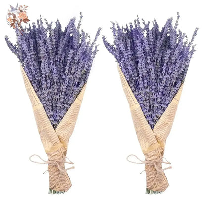 Dried Lavender Bundles - Natural Home Decor & Aromatherapy